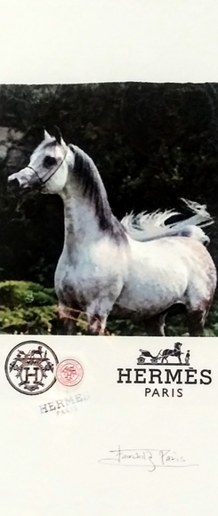 HERMÉS, Arabian Stallion Print, By Fairchild Paris - Picture 6 of 12